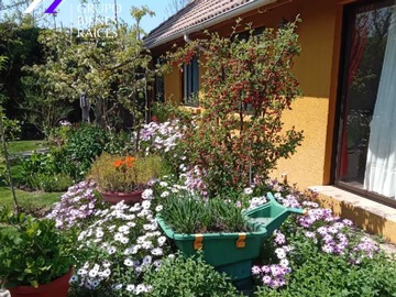 Venta / Casa / San Bernardo
