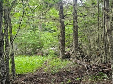 Parcela en venta en Loteo san cristóbal 2, mirador lago pollux, -45.713633, -71., Coyhaique