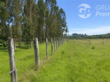 Sitio en venta en Parcela plana de 5.328 m² en Pitraco, Cholchol, con excelente conectividad hacia Temuco, Cholchol