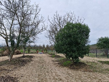 Parcela en venta en Venta de Parcelas en Maria Pinto Bollenar Desde 75 Millones