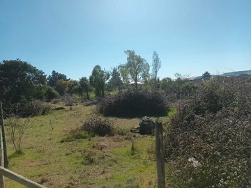 Terreno en venta en Se Vende Parcela 5.000 mt2, en Litueche (148169), Litueche