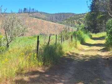 Parcela en venta en Sector ranquil - batuco, Ránquil