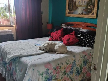 Casa en venta en Avda Mexico (169515), Puente Alto - 2 dormitorios, 1 baño