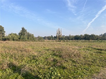 Parcela en venta en Los Gomeros, Sector La Isla, Pelarco, Pelarco