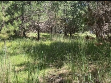 Parcela en venta en A 10 minutos de playa sector alto colorado, Pichilemu