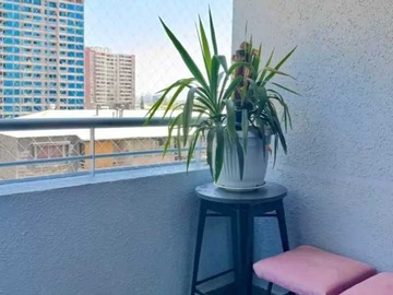 Arriendo Mensual / Departamento / Ñuñoa
