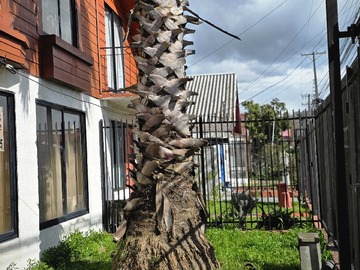 Venta / Casa / Talcahuano