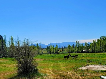 Parcela en venta en Orilla de camino, el estero, las cabras, Las Cabras
