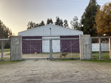 Local Comercial en venta en Colonia Kennedy 111, Paine - 2 dormitorios, 2 baños