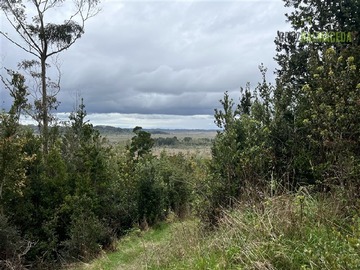 Terreno Agricola en venta en Trapen, ruta San Antonio, Puerto Montt