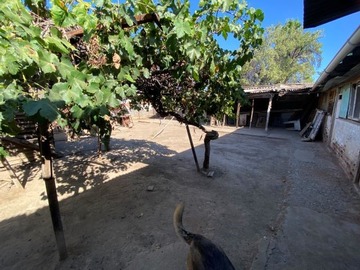 Casa en venta en Macul el libano con los plátanos, Macul - 4 dormitorios, 1 baño