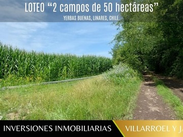 Terreno Agricola en venta en Linares, Linares