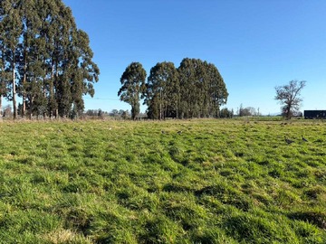 Terreno en venta en Vende linda parcela | graneros de pilauco iv (171182), Osorno