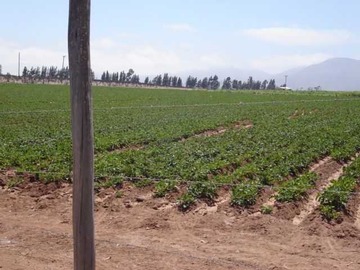 Terreno en venta en Venta terreno pan de azucar - coquimbo (172641), Coquimbo