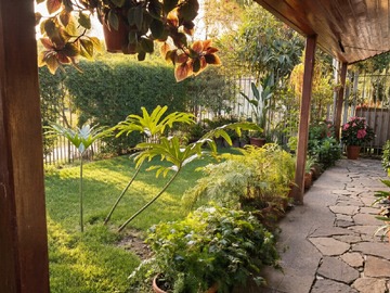 Venta / Casa / Cerrillos