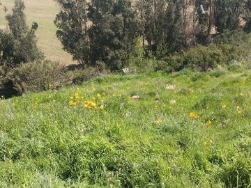 Parcela en venta en Ruta f850, Casablanca