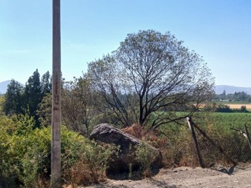Parcela en venta en Parcela camino lorquen paradero 26, Talagante