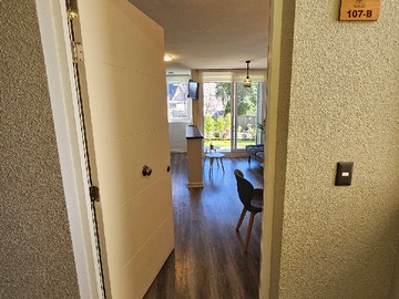 Arriendo Mensual / Departamento / Villarrica