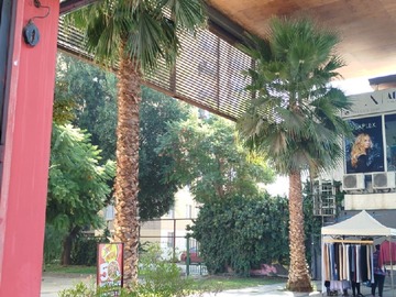 Arriendo Mensual / Departamento / San Bernardo
