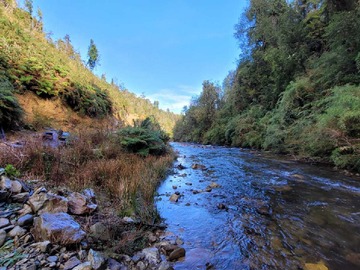 Terreno en venta en Parcela con río y bosque nativo (168609), Los Muermos