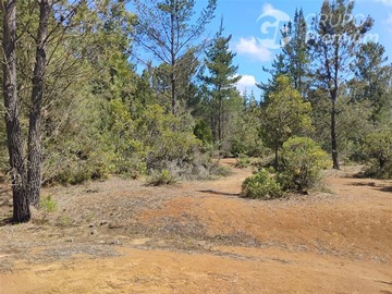 Parcela en venta en Cerro lo Castillo, ruta L751 con L705, Párral, Parral