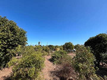 Terreno en venta en Ubicación Estratégica Mantagua (154113), Viña del Mar