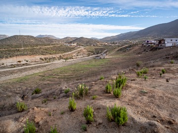 Venta / Parcela / La Serena