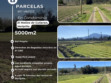 Terreno en venta en Culipran, Melipilla