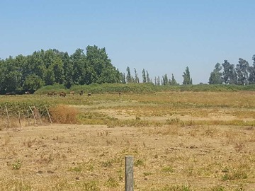 Terreno en venta en buen acceso (73615), Teno