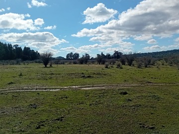 Terreno en venta en Parcelas de 5.000 M en Marchigüe con Rol Propio