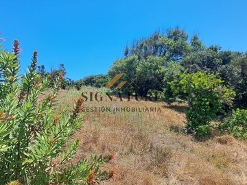 Parcela en venta en Ruta f 30 e carretera costera, Zapallar