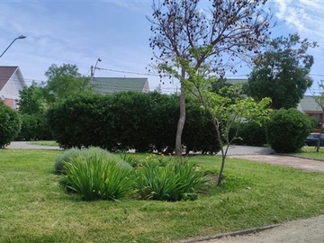 Arriendo Mensual / Casa / Maipú