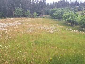 Terreno en venta en La unión, Valdivia