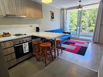 Departamento en arriendo mensual en Camino Al Volcan 865, Pucón - 1 dormitorio, 1 baño