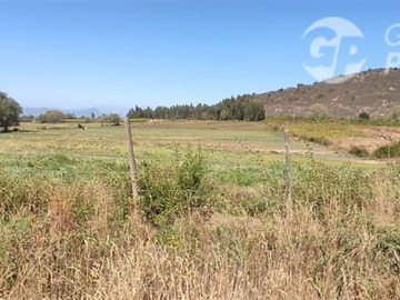 Parcela en venta en Sector Mariposas, San Clemente, San Clemente