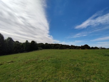 Terreno Agricola en venta en Curamo, Ancud