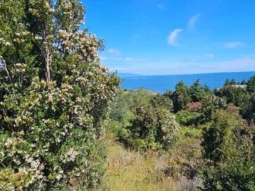 Venta / Terreno / Puerto Montt