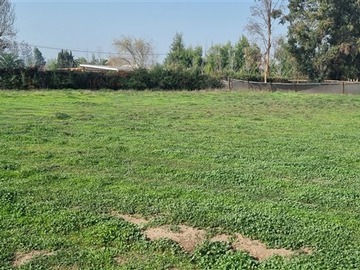 Venta / Parcela / Colina