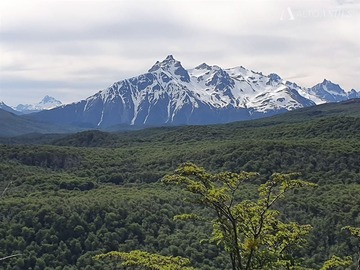 Sitio en venta en Campo Lago Norte, Coyhaique, Coyhaique