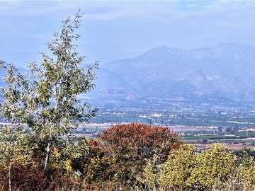 Terreno Agricola en venta en Encierra El Parque, lote C-3, La Cruz - 3 dormitorios, 1 baño