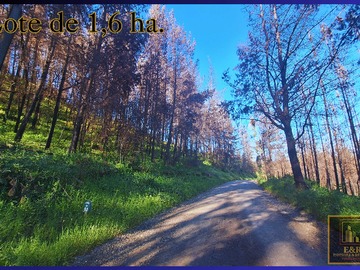 Terreno en venta en Se venden 2 terrenos , de 1,6 ha. y 11,56 ha (76010), Santa Juana