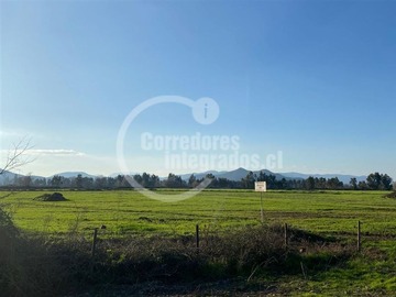 Terreno Agricola en venta en Teno. M.L.A., Teno