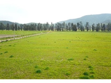 Venta / Terreno Agricola / Melipilla