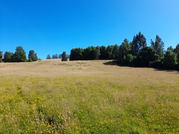 Terreno en venta en Pitrufquén, Pitrufquén