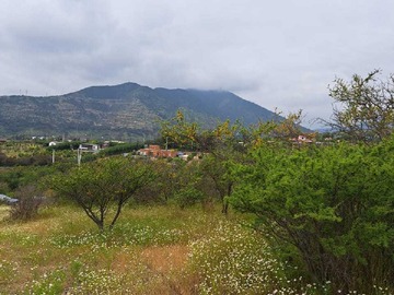 Terreno en venta en Vende sitio 7000 mts, San Pedro Quillota (154645), Quillota