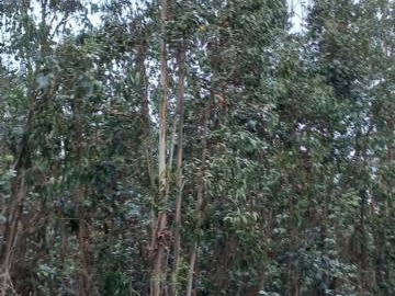 Parcela en venta en A 5 kilómetros de la ruta 68, Valparaíso