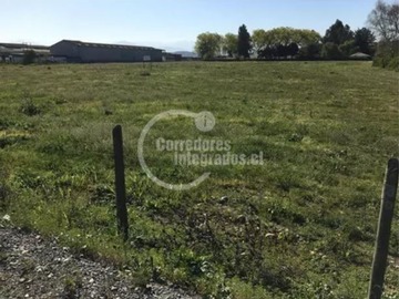 Terreno Agricola en venta en kilometro 182/183, Romeral - 7 dormitorios, 5 baños