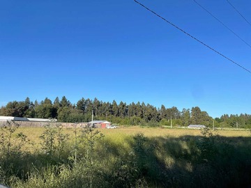 Terreno en venta en Parcelas a 200 mts camino las mariposas (60469), Chillán