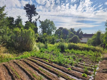 Terreno en venta en Hacienda de 5.000 m² en Lo Cañas, La Florida (173166), La Florida