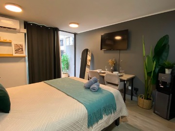 Arriendo Mensual / Estudio / Santiago